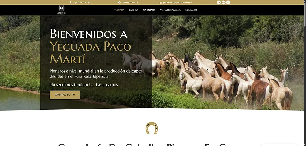 diseño-web-estrategico-ventas
