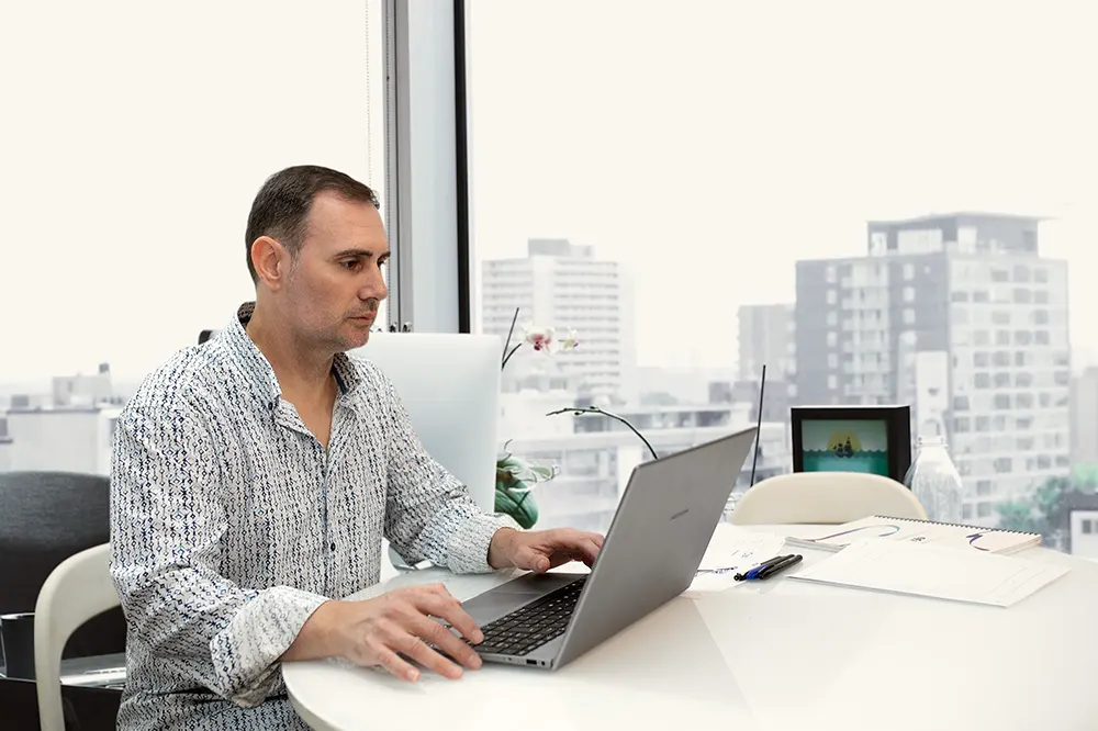 consultor-seo-wordpress-profesional